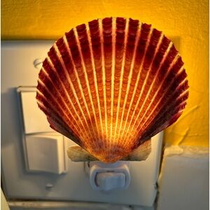 New! Pink Purple & White Scallop SeaShell Nightlight